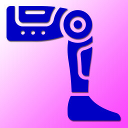 Icon for Cyber Leg