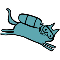 Icon for Splash