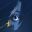 Ayasa: Shadows of Silence icon