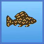 Icon for Spotted Sailfin