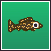Icon for Spotted Sailfin Collector