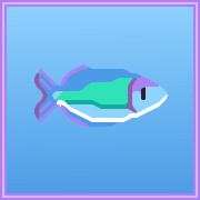 Icon for Kutubu Rainbowfish