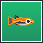 Icon for Beckfords Pencilfish Collector