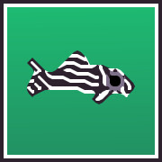 Icon for Zebra Pleco Collector