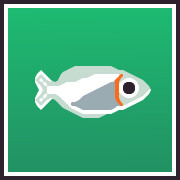 Icon for Murray Rainbowfish Collector