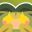 Sapling Wars icon