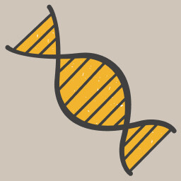 Experience life and death separation