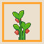 Icon for Organic Feeding