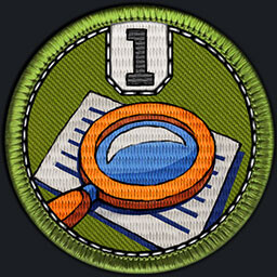 What really happened I