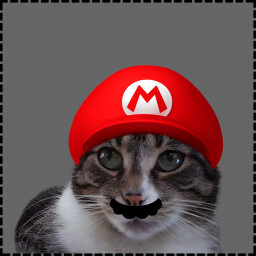 Icon for Mario Cat