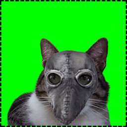 Icon for Plague Cat