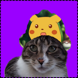 Icon for Pika Cat