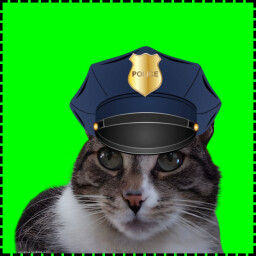 Icon for Policeman Cat