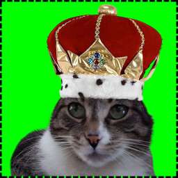 Icon for King Cat