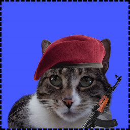 Icon for Army Cat