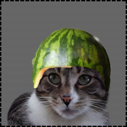 Icon for Watermelon Cat