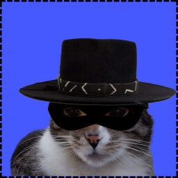 Icon for Zorro Cat