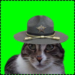 Icon for Sheriff Cat