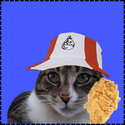 Icon for Chicken Cat