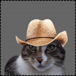 Icon for Farmer Cat