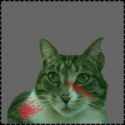 Icon for Zombie Cat