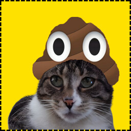 Icon for Poop Cat