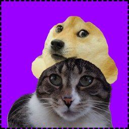 Icon for Doge Cat