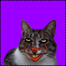 Icon for Pennywise Cat