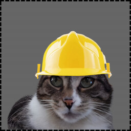 Icon for Builder Cat