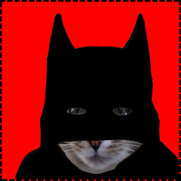 Icon for Batman Cat