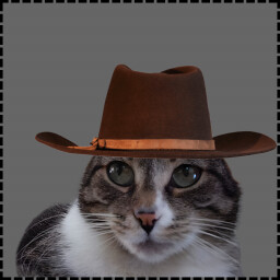 Icon for Cowboy Cat