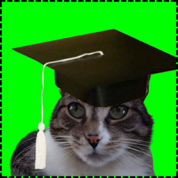 Icon for Graduate Cat