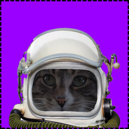 Icon for Astronaut Cat