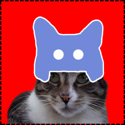 Icon for Discord Cat