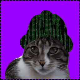 Icon for Hacker Cat