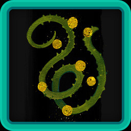 Icon for Golden Touch