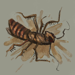 Pest Control