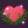 Love in an Enchanted Realm icon