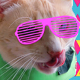 Icon for Banana Party Animal!