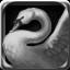 Icon for Black Swan