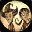 Don't Starve Together icon