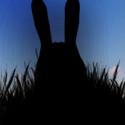 Icon for Welcome back