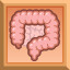 Colorectal Physician