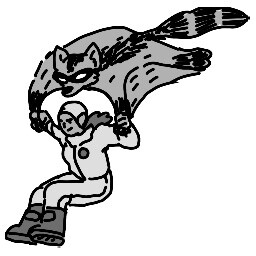 Icon for Raccoon fly