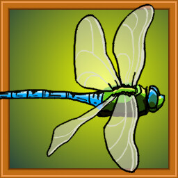Icon for Dragonfly