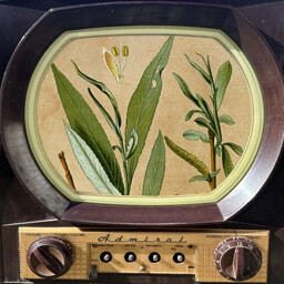 Icon for Solved "Murder, Essentially!"