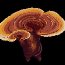 Icon for Lingzhi Mountain Essence