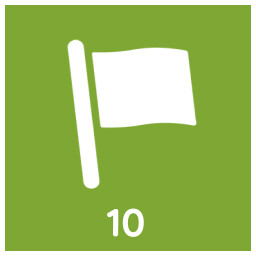 Icon for Race champion