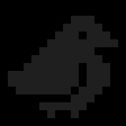 birds