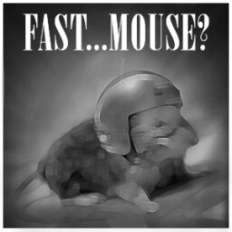 Fast...Mouse?